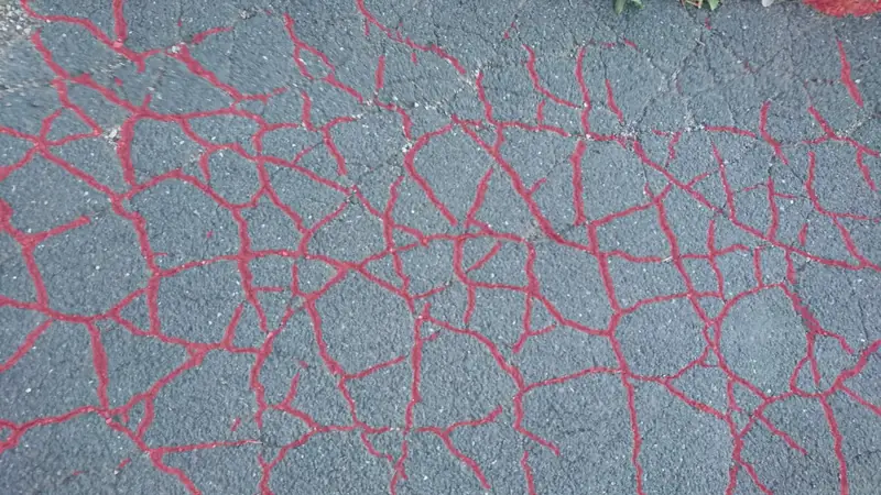 Segmentation overlay on the cracked pavement
